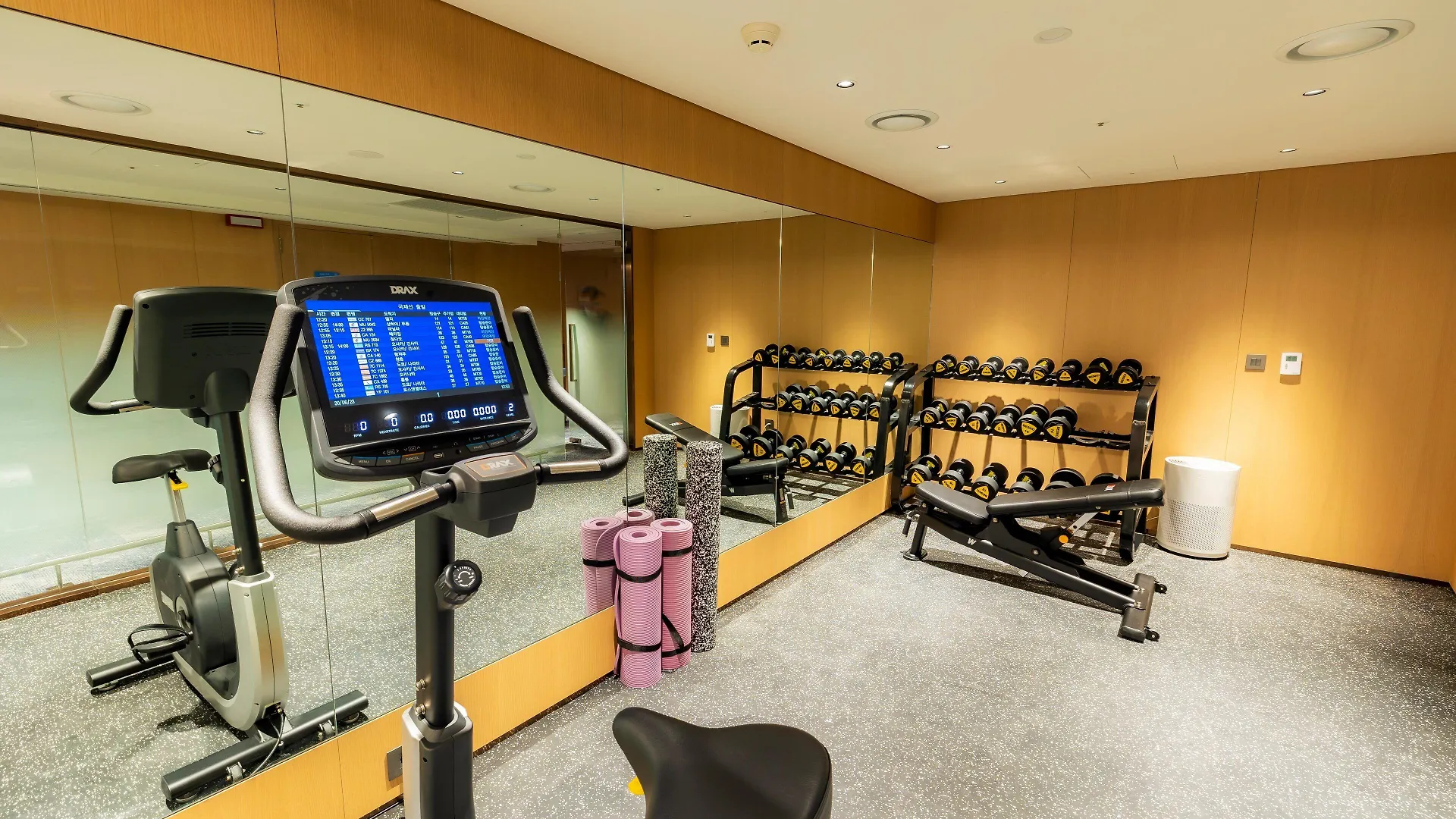 Incheon Airport Transit Hotel Terminal 1